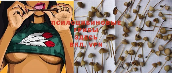 ALPHA PVP Новокубанск
