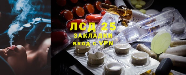 PSILOCYBIN Новозыбков